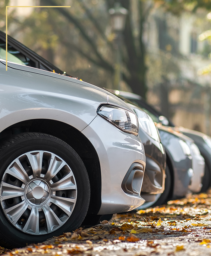 Agencja celna, ubezpieczeniowa i biuro rejestracji pojazdów w Warszawie